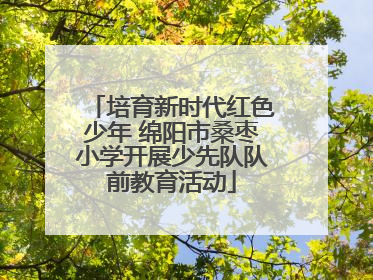 培育新时代红色少年 绵阳市桑枣小学开展少先队队前教育活动