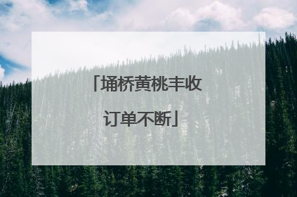埇桥黄桃丰收 订单不断