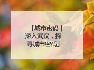 城市密码｜深入武汉，探寻城市密码