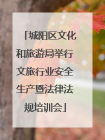城阳区文化和旅游局举行文旅行业安全生产暨法律法规培训会