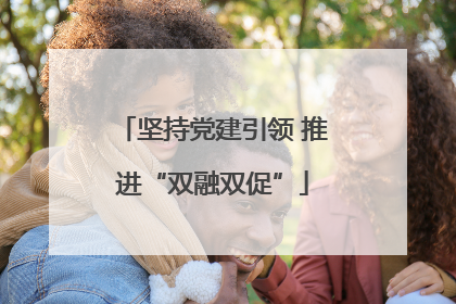 坚持党建引领 推进“双融双促”