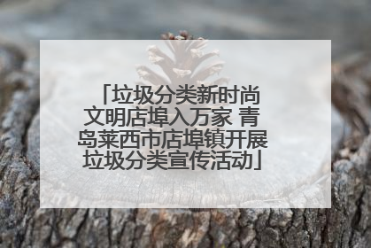 垃圾分类新时尚 文明店埠入万家 青岛莱西市店埠镇开展垃圾分类宣传活动