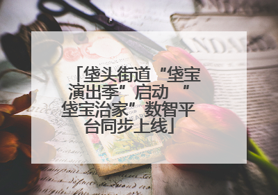 垡头街道“垡宝演出季”启动 “垡宝治家”数智平台同步上线