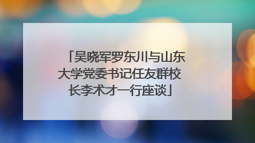 吴晓军罗东川与山东大学党委书记任友群校长李术才一行座谈