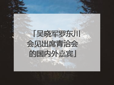 吴晓军罗东川会见出席青洽会的国内外嘉宾