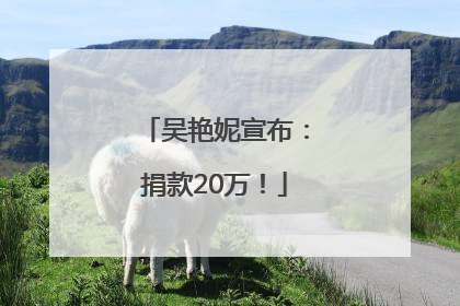 吴艳妮宣布：捐款20万！