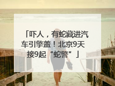 吓人，有蛇藏进汽车引擎盖！北京9天接9起“蛇警”