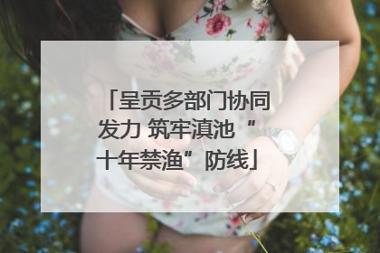 呈贡多部门协同发力 筑牢滇池“十年禁渔”防线