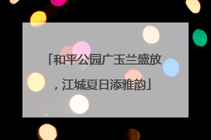 和平公园广玉兰盛放，江城夏日添雅韵