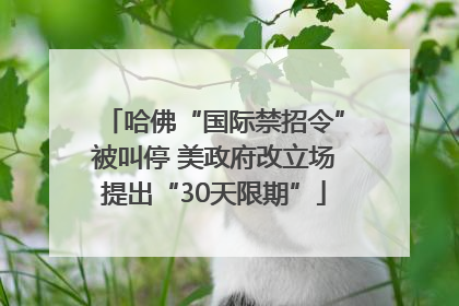 哈佛“国际禁招令”被叫停 美政府改立场提出“30天限期”