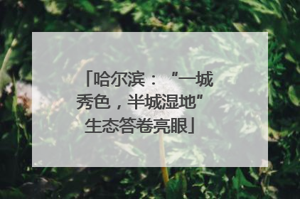 哈尔滨：“一城秀色，半城湿地”生态答卷亮眼