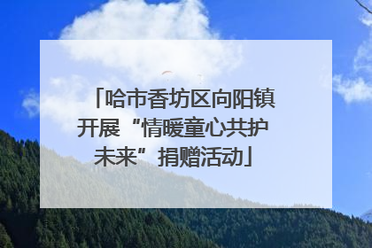 哈市香坊区向阳镇开展“情暖童心共护未来”捐赠活动