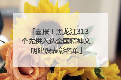 喜报！黑龙江313个先进入选全国精神文明建设表彰名单