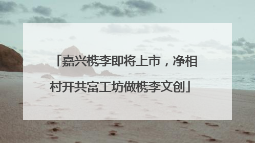 嘉兴槜李即将上市，净相村开共富工坊做槜李文创