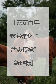 嘉定百年老宅蝶变“活态传承”新地标