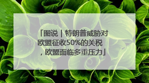 图说｜特朗普威胁对欧盟征收50%的关税，欧盟面临多重压力