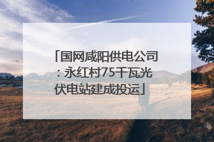 国网咸阳供电公司：永红村75千瓦光伏电站建成投运