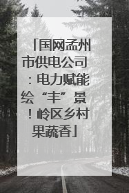 国网孟州市供电公司：电力赋能绘“丰”景！岭区乡村果蔬香