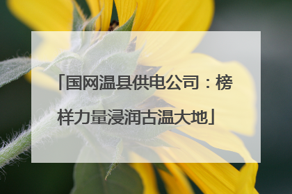 国网温县供电公司：榜样力量浸润古温大地