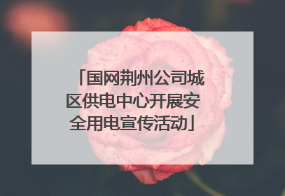 国网荆州公司城区供电中心开展安全用电宣传活动