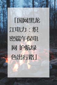 国网黑龙江电力：织密端午保电网 护航绿色出行路