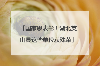 国家级表彰！湖北英山县这些单位获殊荣