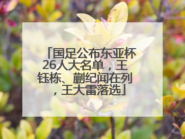 国足公布东亚杯26人大名单，王钰栋、蒯纪闻在列，王大雷落选