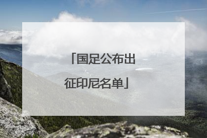 国足公布出征印尼名单