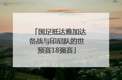 国足抵达雅加达备战与印尼队的世预赛18强赛