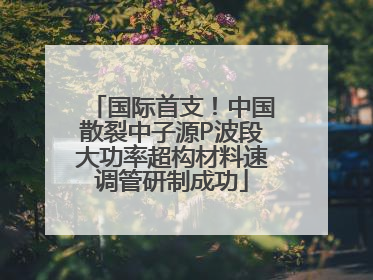 国际首支！中国散裂中子源P波段大功率超构材料速调管研制成功