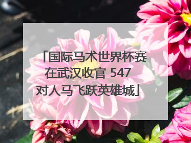 国际马术世界杯赛在武汉收官 547对人马飞跃英雄城