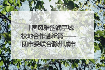 国风雅韵润亭城 校地合作谱新篇——团市委联合滁州城市职业学院助力传统文化“破圈”绽放