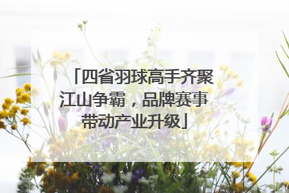 四省羽球高手齐聚江山争霸，品牌赛事带动产业升级