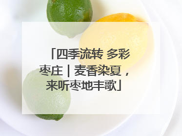四季流转 多彩枣庄｜麦香染夏，来听枣地丰歌