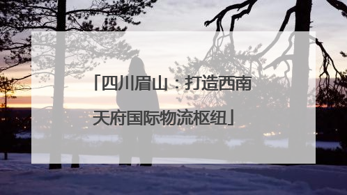 四川眉山：打造西南天府国际物流枢纽