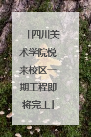 四川美术学院悦来校区一期工程即将完工