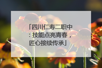 四川仁寿二职中：技能点亮青春，匠心接续传承