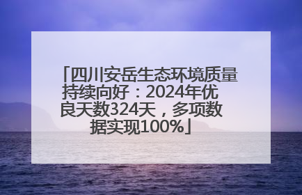 四川安岳生态环境质量持续向好：2024年优良天数324天，多项数据实现100%