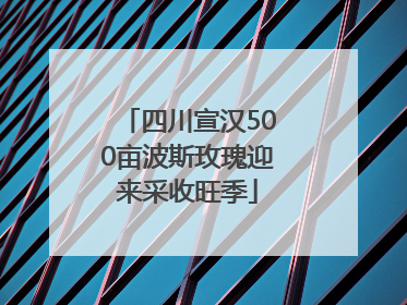 四川宣汉500亩波斯玫瑰迎来采收旺季