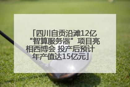 四川自贡沿滩12亿“智算服务器”项目亮相西博会 投产后预计年产值达15亿元