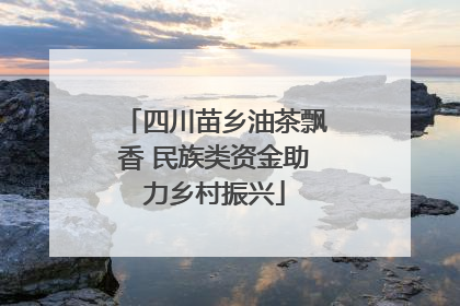 四川苗乡油茶飘香 民族类资金助力乡村振兴