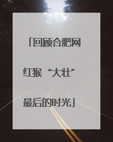 回顾合肥网红猴“大壮”最后的时光