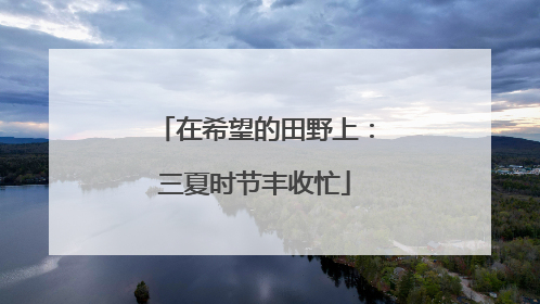 在希望的田野上：三夏时节丰收忙