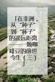 在非洲，从“种子”到“杯子”的遥远距离——一颗咖啡豆的前世今生（三）