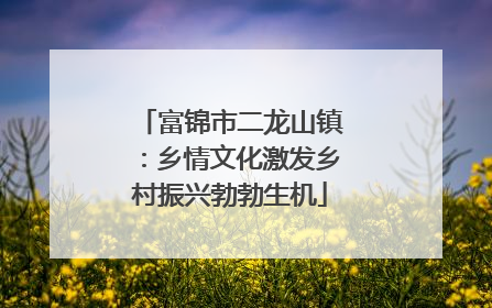 富锦市二龙山镇：乡情文化激发乡村振兴勃勃生机