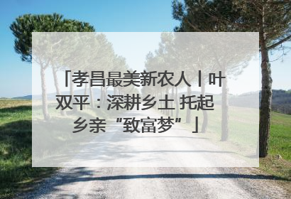 孝昌最美新农人丨叶双平：深耕乡土 托起乡亲“致富梦”
