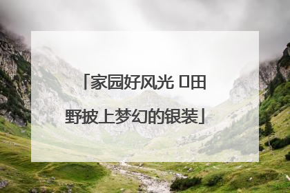 家园好风光 ⎮田野披上梦幻的银装