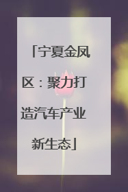 宁夏金凤区：聚力打造汽车产业新生态