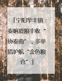 宁阳华丰镇：奏响夏粮丰收“协奏曲”，多举措护航“金色粮仓”