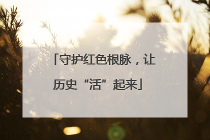 守护红色根脉，让历史“活”起来